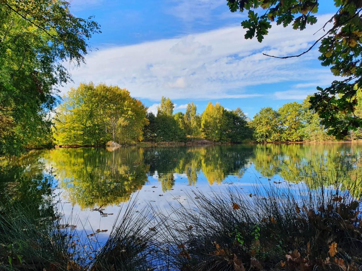 Ferienwohnung Am See Dillich - Eigener Garten - Ruhige Lage - Natur Vor Der Haustuer Borken  Dış mekan fotoğraf