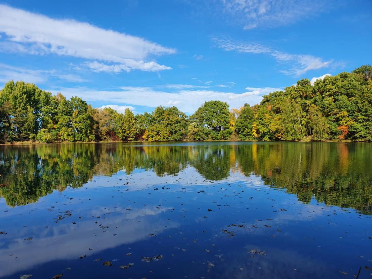 Ferienwohnung Am See Dillich - Eigener Garten - Ruhige Lage - Natur Vor Der Haustuer Borken  Dış mekan fotoğraf