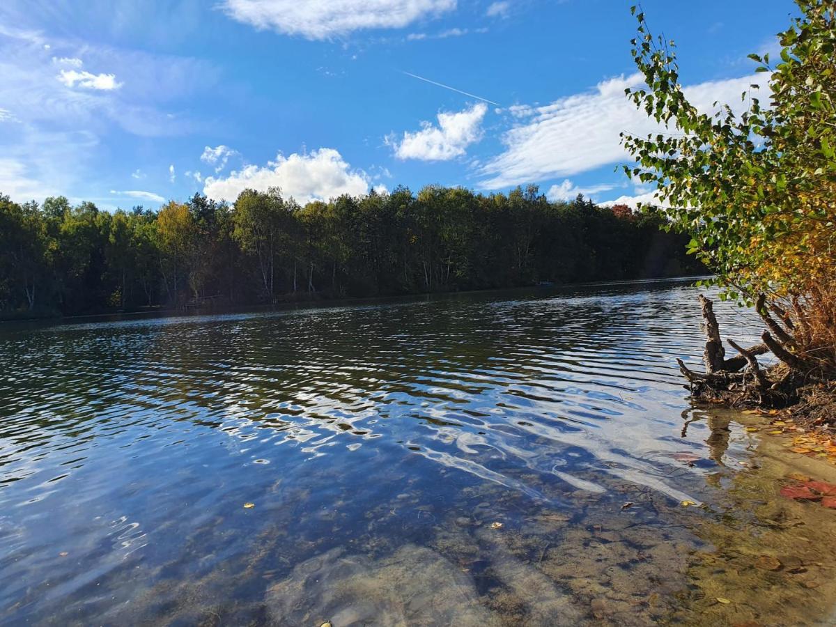 Ferienwohnung Am See Dillich - Eigener Garten - Ruhige Lage - Natur Vor Der Haustuer Borken  Dış mekan fotoğraf