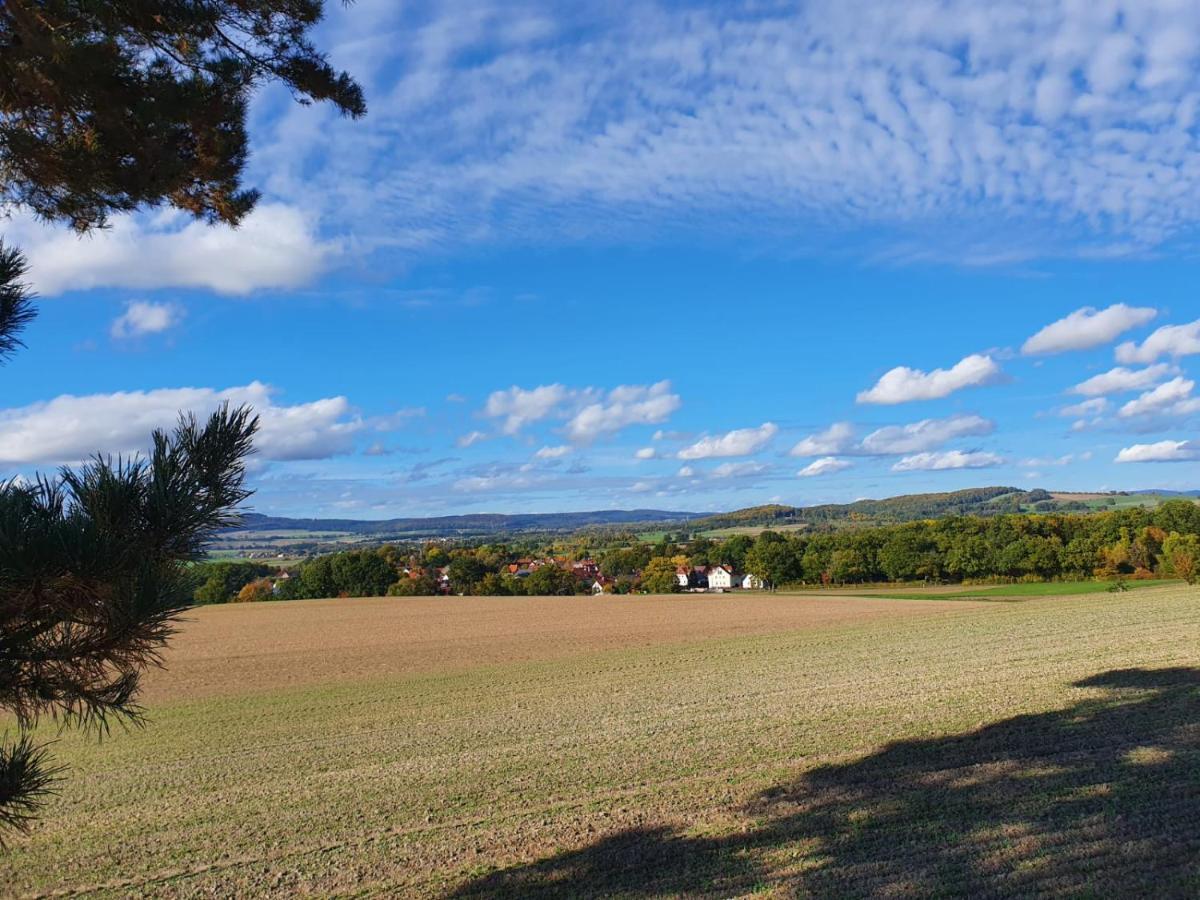 Ferienwohnung Am See Dillich - Eigener Garten - Ruhige Lage - Natur Vor Der Haustuer Borken  Dış mekan fotoğraf
