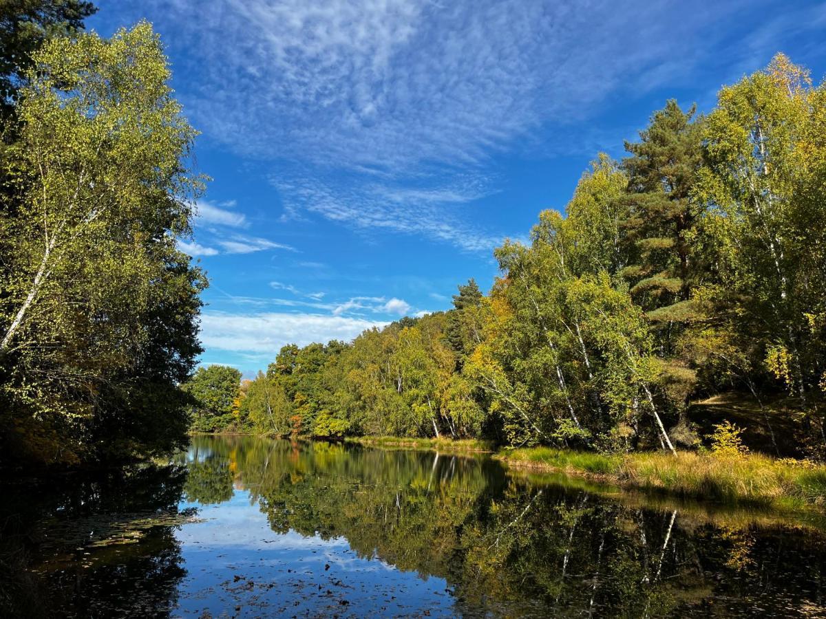 Ferienwohnung Am See Dillich - Eigener Garten - Ruhige Lage - Natur Vor Der Haustuer Borken  Dış mekan fotoğraf
