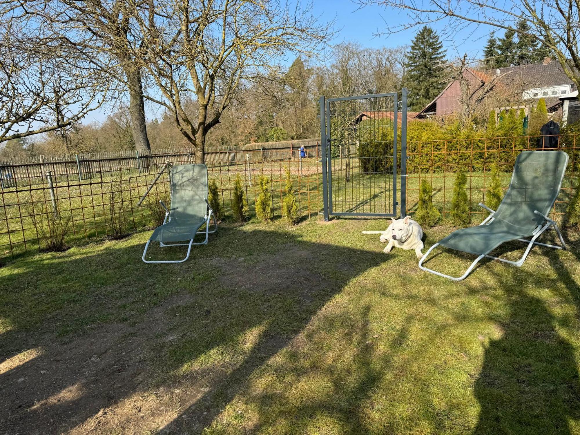 Ferienwohnung Am See Dillich - Eigener Garten - Ruhige Lage - Natur Vor Der Haustuer Borken  Dış mekan fotoğraf